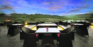 Golden Tulip
