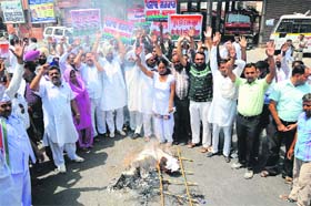 Venting ire: Congress workers burning an effigy of Education Minister Sikander Singh Maluka in protest against the books scam and irregularities in purchase of science kits, at the Fire Brigade Chowk in Bathinda on Monday