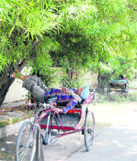 A rickshaw-puller sleeps under the shade of a tree in the scorching heat in Amritsar on Tuesday.