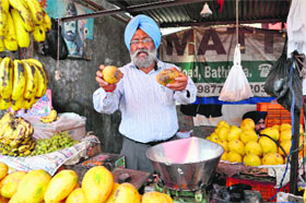 District Health Officer RS Randhawa shows overripe mangoes found at a shop in Bathinda on Tuesday.