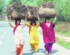 A group of women carry firewood on their heads on the outskirts of Srinagar on Tuesday.