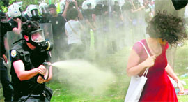 A policeman uses tear gas against a woman as people protest against the destruction of trees in a park brought about by a pedestrian project in Istanbul.