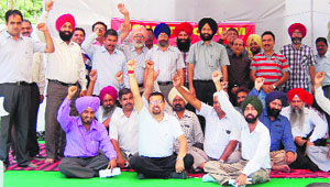 Members of the Forum of BSNL Unions and Associations stage a protest at Ranjit Avenue in Amritsar on Wednesday. 