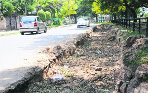 A road dug up by the MC in Sector 18, Chandigarh. 