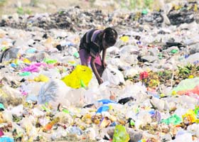 A poor child searches for recyclable items in a garbage dump in Karnal on Wednesday, which happens to be World Environment Day