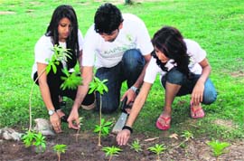 Youth plant saplings to mark World Environment Day in Green Belt Park , Jammu, on Wednesday. 