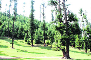 A view of the Lolab valley in north Kashmirs Kupwara district. 