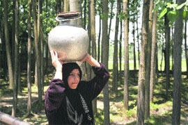 A woman carries a pot of water in central Kashmirs Budgam district on Wednesday. 
