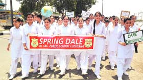 Students of Spring Dale Senior Secondary Public School celebrate World Environment Day in Ludhiana