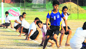 Players in action during a kho-kho match between Haryana and Uttar Pradesh at the Government College for Girls, Sector 42, Chandigarh, on Friday.