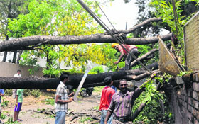 Workers remove the branches of an uprooted tree that damaged power cables in Sector 27.