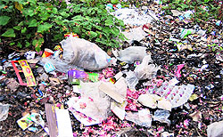 Polythene bags and other waste material littered on Mall Road in Mussoorie by street vendors who were penalised on Friday