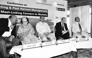 Minister for Horticulture, Public Health and Irrigation Vidya Stokes shares a dais with other dignitaries at a conference on apple marketing in Shimla on Friday.