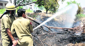 Fire brigade staff douse a fire which broke out in the bushes at Jammu University campus on Friday.