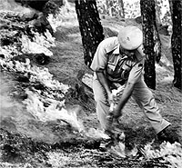 A forest department employee tries to douse a fire in Bathuni forest area in Rajouri on Friday