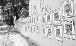 Posters on the walls of houses at Sector 16, Chandigarh, on Sunday. 