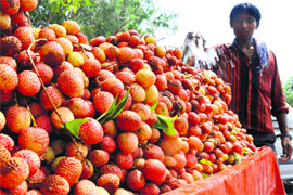 A fruit vendor sells litchi in Jammu on Sunday.
