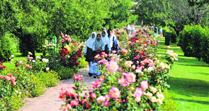 Schoolchildren enjoy a walk at Badamwari Garden in Srinagar. 