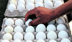 Prices of eggs have increased to Rs 4-5 per egg.