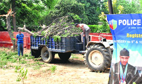 Police personnel with a tractor-trolley laden with forest wood outside the Police Lines in Patiala on Sunday.