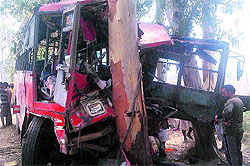 A bus rammed into an eucalyptus tree at a village near Amritsar on Monday
