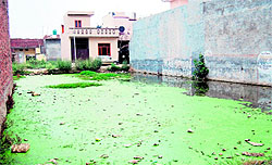 The slow pace of work in Ghanupur Kale on the sewerage plant has made life difficult for the residents
