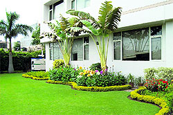A good lawn needs a good foundation