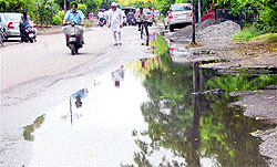 Stagnant water after rain at Green Avenue in Amritsar on Tuesday