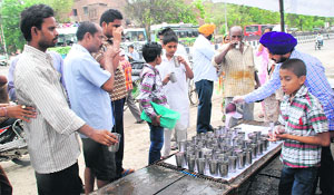 Sweet water being offered at a chhabeel on the martyrdom day of Guru Arjan Dev in Bathinda on Wednesday. 
