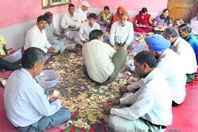 Temple employees counting the offerings