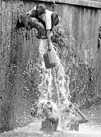 A boy collects drinking water from the top of a water pipe as others bathe beneath it in Kolkata on Wednesday. 