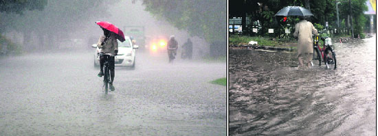 A cyclist saves himself from rain in Chandigarh on Thursday.