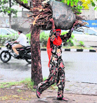 A woman carries dry wood to her home during drizzling in Karnal on Thursday.