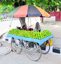 A fruit vendor takes a nap on his cart dring a hot afternoon in Karnal.