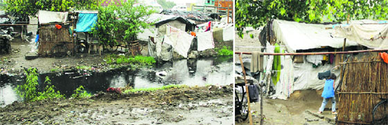 Unhygienic conditions prevail in different parts of the city.