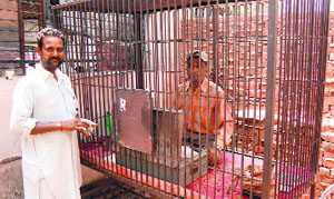 Vinod Kumar sits in a cage while selling stamp papers at the District Courts Complex in Bathinda.