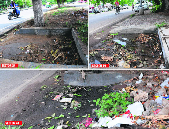 Exposing the lack of arrangements made by the Municipal Corporation for proper drainage of rainwater ahead of the onset of monsoon, gullies remain choked along roads and streets in Chandigarh on Friday. These choked gullies lead to waterlogging, which causes inconveniece to commuters every year.