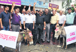 Private doctors raise anti-government slogans in Dehradun on Saturday.