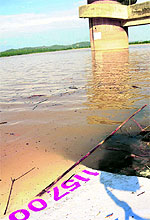 The water level of the Sukhna Lake touched 1,157 ft on Sunday