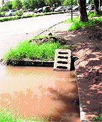 The road gully in Sector 5, Chandigarh, blocked with dry leaves; and (below) A flooded road gully at Sector 17 in Chandigarh on Sunday