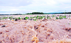 The Ganga in spate following incessant rain in the past 48 hours at Haridwar on Sunday
