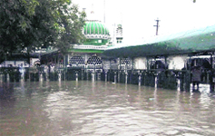 The world famous Sufi shrine of Peeran Kaliyar in Roorkee under knee-deep water on Sunday.