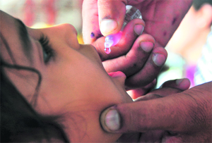 A child being administered polio drops during the Migratory Round of National Pulse Polio Campaign in Ludhiana on Sunday. 