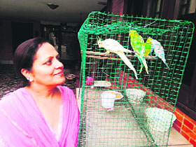 Renu Kumar finds a company in her pet birds 