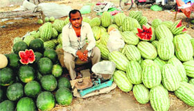 A roadside vendor waits for customers near the Sirhind canal. The sale of water melons has been affected due to the rainy season and its price has come down.