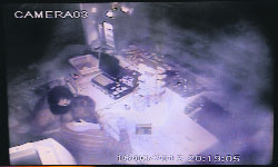 CCTV footage shows the thieves inside the shop. 
