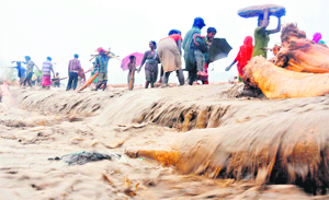 Jhuggi dwellers try to protect their belongings from flood waters at Chandi Ghat in Haridwar on Monday.