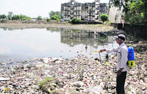 A health worker sprays insecticide in a low-lying area in Jalandhar on Monday. 