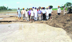 Deputy Commissioner DS Mangat at the site in Kapurthala which got inundated due to breach in a drain. 