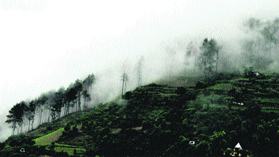 With continuous rainfall in the Doda-Bhaderwah region for the past few days, fog has engulfed the mountains giving people respite from the heat wave. 